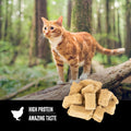 ORIJEN Freeze Dried Cat Treats Grain Free High Protein Raw Animal Ingredients Original 1.25oz Bag