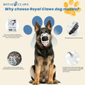 Dog Muzzle, Basket Muzzle for Small Medium Large Dogs, Lightweight Breathable Cage Mouth Cover Prevents Biting & Chewing