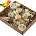 LOPERDEVE Natural Bird Toy Foraging Parrot Shredding Toys Box Conure Chewing Toys for Cockatiel Lovebird Parakeet Budgie Small-Medium Birds (Nature Color)
