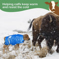 Dunzy 4 Pcs Calf Blanket Calf Coat Jacket Foal Blanket Warming Waterproof Windproof Saver Livestock for Cows Goats