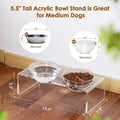 Acrylic Elevated Dog Cat Bowls Pet Feeder Double Bowl Raised Stand Comes with 2 Removable Glass Bowls and 2 Stainless St
