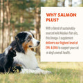 Grizzly Wild Alaskan Salmon Oil Dog Food Supplement Omega 3 Fatty Acids, 16 oz