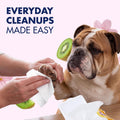 Arm & Hammer Odor Control Dog Wipes, Kiwi Blossom, 100 Count