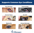 Dog Eye Drops | Dog Eye Infection Treatment | Flush Irritants & Reduce Redness, Watering & Discharge | Sterile Solution 