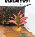 Woyrise Reptile Plants for Desert Terrarium,Habitat Decor,Succulent Plant