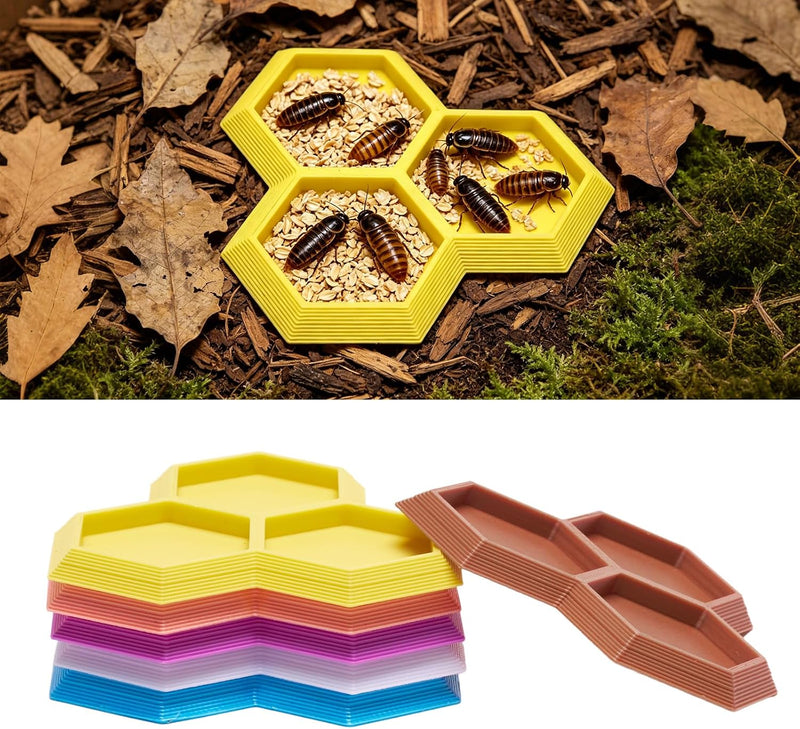 3 in 1 Dubia Roach Large Feeder Bowl, 6 PCS Isopod Food Dish