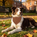 Lionet Paws Halloween Pumpkin Dog Bandana Washable Cotton Handkerchief Scarf Triangle Thanksgiving Brown Dog Bandanas fo