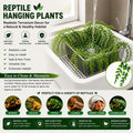 Reptile Plants for Bearded Dragon Tank Accessories, 2 Pack Terrarium Hanging Vines Artificial Leaves with Suction Cups f