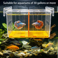 Large Acclimation Box for Saltwater Fish