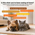 Petnanny Pumpkin Powder for Cats & Dogs, Anal Gland Health Fiber Supplement Stop Scooting with Inulin, Probiotics & Enzy