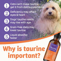 Taurine Liquid Supplement for Dogs and Cats, Support Heart & Vision Health