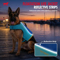 Tuff Pupper Dog Life Jacket | High Buoyancy Dog Swim Vest with Rescue Handle | Adjustable Secure Fit | Reflective Safety