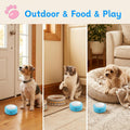 PTB4 Rechargeable Talking Buttons for Cats and Dogs, Set of 4