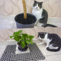 Cat Deterrent Mat 27.5x15.5in Plastic Spike Design