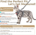 pangdi Cat Harness and Leash Kitten Harness Escape Proof Lightweight Breathable Mesh Cat Leash for Walking Travel, Grey, X-Large
