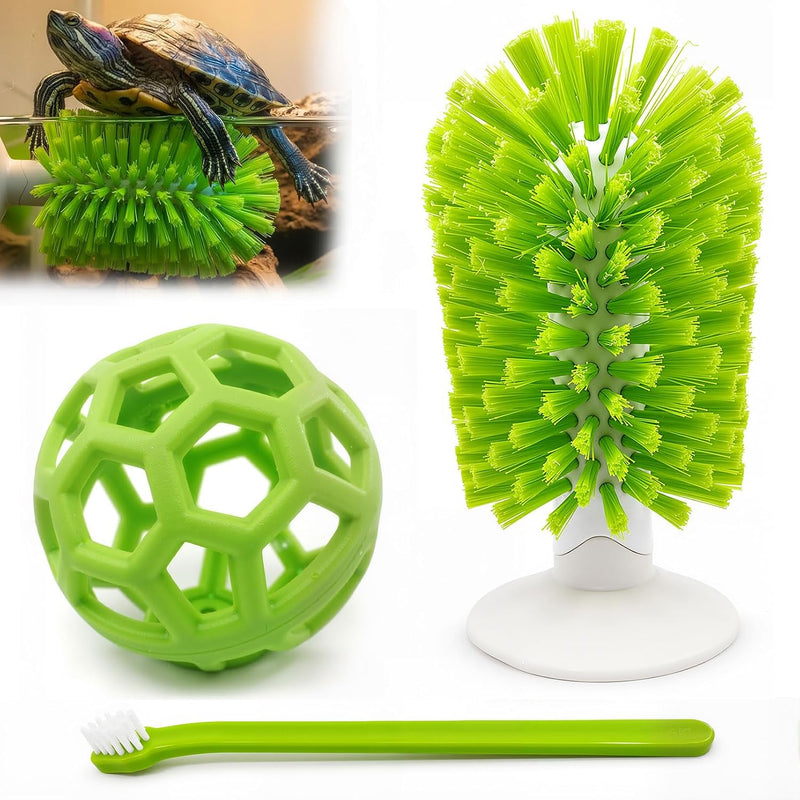 3-Piece Turtle Shell Brush & Feeder Ball Set, Turtle Tank Care Accessories