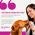 Pet Honesty Vet Recommended 10-in-1 Dog Multivitamin, 90 Ct, Peanut Butter