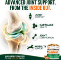 Glucosamine for Dogs - 250 Chews with Chondroitin - Hip and Joint Supplement with MSM - Turmeric - Omega 3 - Joint Pain Relief - Advanced Support for Dog Health - For Large, Medium & Small Breeds