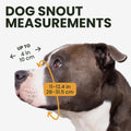 BRONZEDOG Pitbull Wire Basket Muzzle for Amstaff, Large Dogs (Steel)