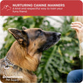 Downtown Pet Supply Chrome Plated Prong Collar for Dogs, Large - Adjustable, No-Choke and No Pull Dog Collar with Remova