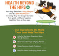Bernie's Healthy Hips, Hip and Joint Supplement for Dogs, 90 Ct Soft Chews