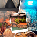 Reptile Lamp Bulb Fixture 5.5 Inch Deep Dome with Switch - Ideal for 60W/75W/100W/150W Heat Lamp Bulbs, Compatible with 