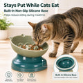 Slow Feeder Cat Bowl, Ceramic Cat Slow Feeder,Elevated Anti Vomiting Whisker Friendly Tilted Design,for Dry and Wet Food,Dishwasher Safe (Green)