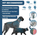 Flea and Tick Collar for Large Dog, Prevention and Control of Pests on Dogs, Safe Natural Ingredients Protection, Waterp