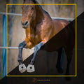 Kavallerie PRO-K Soft No Turn Bell Boots Ultimate Hoof Protection, with Anti-Spin Fastening System, Durable & Prevents O