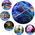BOAO 2 Sets Aquarium Coral Feeder Pipette Long Syringe Feeding Tube Blue