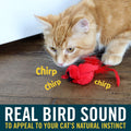 OurPets Play-N-Squeak Real Birds Interactive Cat Toys with Catnip (Cat Toys for Indoor Cats; Catnip Toy for Cats with Bi