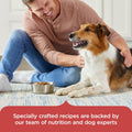 Nutrish Salmon Dry Dog Food, 4.5 lb. Bag (Rachael Ray)