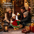 Christmas Porch Goose Outfit Set for 23" Lawn Goose with Santa Cape