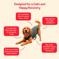 BellyGuard Dog Surgery Recovery Suit, Dog Onesie for Post-Op Care, Recovery Apparel for Female and Male, Surgical Body Cover for Canine Healing Support