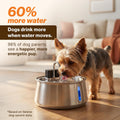 Selene Wireless Doggy Fountain, 7L (1.85 Gal) Cordless Dog Water Fountain for Dogs Inside, Stainless Steel Pet Fountain,