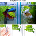 URATOT 4 Pack Betta Fish Leaf Pad Simulating The Natural Habitat for Betta Spawning Grounds Breeding Resting Bed