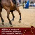 Vita Flex Pro Equinyl Formula with Hyaluronic Acid, Horse Joint Supplement, 3.75 Pounds, 60-Day Supply