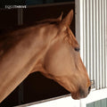 Equithrive Natural Vitamin E Pellets Horse Supplement