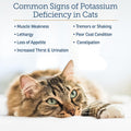 Rx Vitamins Amino B+K - Cat Vitamin B & Potassium Supplement for Cats - with Amino Acids Taurine & Lysine - Aids in Cat Kidney Support & Immune Support for Cats - Liver & Bacon 4oz