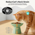 LoeJan Ceramic Cat Bowls, Elevated Cat Food and Water Bowls Set, Extra Wide and Raised Ceramic Bowls, Anti-Vomit Whisker