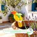 Bird Harness Leash for Pet Parrots