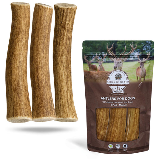Whitetail Naturals Deer Antler Dog Chews (3 Pack Medium) - Long Lasting, Naturally Shed Whole Antlers for Dogs - Long Lasting Dog Bones for Power Chewers