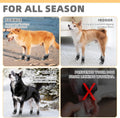 KOOLTAIL Dog Socks Shoes for Hot Pavement to Prevent Licking Paws, Winter Dog Boots&Paw Protector for Hardwood Floors An