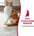 Nature's Miracle Cat Stain and Odor Remover With New Odor Control Formula 32 Ounce Spray