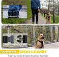 Fida 6-in-1 Hands Free Dog Leash Heavy Duty, Reflective Wasit Corssbody Dog Leash with Car Seat Clip | Adjustable for Running Hiking | Shock Absorbing Bungee, Dual Padded Detachable Handles (Black)