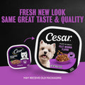Cesar Filets in Gravy Adult Wet Dog Food Filet Mignon Flavor, 3.5 oz. Easy Peel Dog Food Tray, 24 Count (Pack of 1)