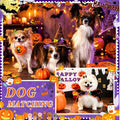 SUMMORO 68Pcs/34Pairs Halloween Dog Hair Bows with Rubber Bands, Spooky