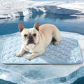 GASUR Cooling Mat for Dogs, Q-Max>0.5 Instant Temp Drop Dog Cooling Mats for Medium Dogs&Cats, Cooling Pad for Dog - Indoor Outdoor Travel Use, Snag Resistant，Machine Washable&Anti-Slip, 28"X22" Blue