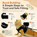 3 Pack Bearded Dragon Leash and Harness Set (S, M, L) - Growth Pack Protective Reptile Walking Rope for Outdoor Sunbathi