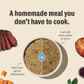 The Honest Kitchen Human Grade Wholemade Dehydrated Whole Grain Dog Food, Whole Grain Turkey and White Fish, 10lbs